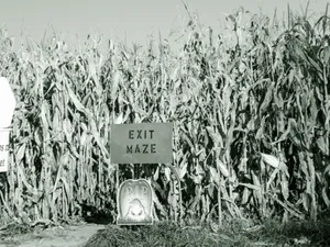 Get Ready For Halloween Fun With Haunted Corn Mazes Wallpaper