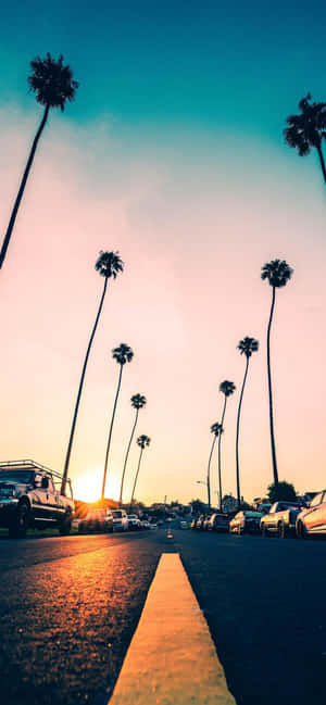 Get Ready For Summer With The Trendy Summer Iphone Wallpaper