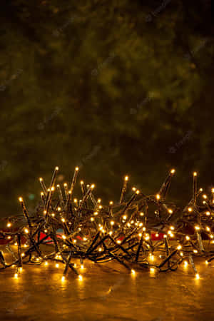 Get Ready For The Holidays With Cute Christmas Lights Wallpaper