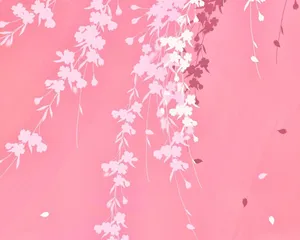 Get Ready For The Next Pink Nation Event With Amazing Deals! Wallpaper