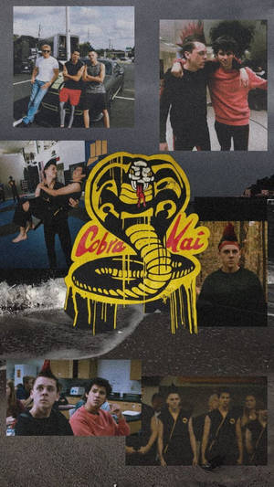 Get Ready To Bring The Heat With The Cobra Kai Phone Wallpaper