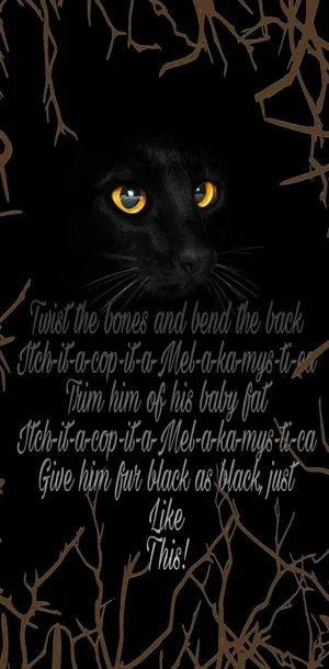 Get Ready To Cast Your Spell With The Hocus Pocus Iphone Wallpaper