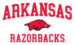 Get Ready To Cheer On The Arkansas Razorbacks! Wallpaper