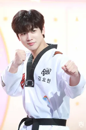 Get Ready To Kick Goals In A Stunning Taekwondo Uniform Wallpaper