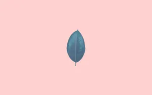 Get Ready To Work With A Colorful Pink Laptop Wallpaper