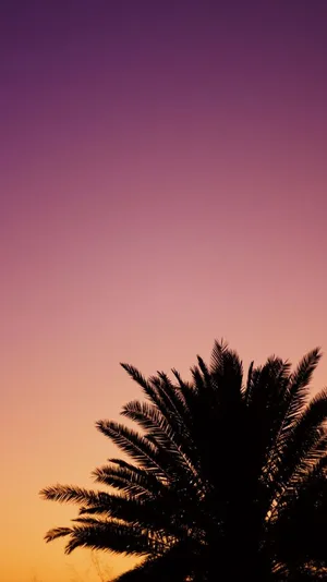 Get Sleek And Stylish With The Iphone 6s Wallpaper