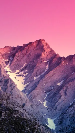 Get The Google Experience With The Nexus 5 Wallpaper