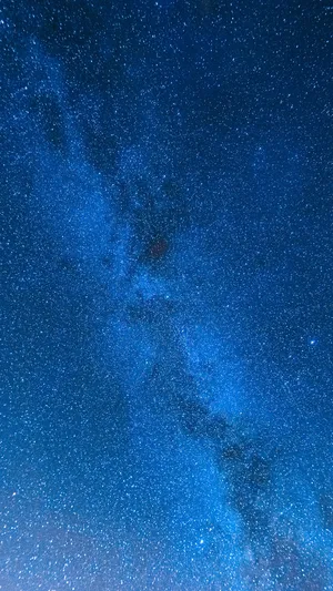 Get The Perfect Portrait Shot In Portrait Mode Wallpaper