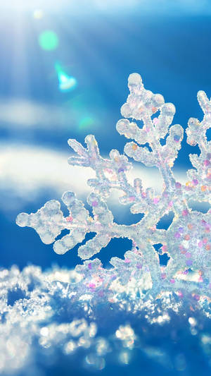 Get This Beautiful Snowflake Iphone Wallpaper To Bring A Feeling Of Winter To Your Device! Wallpaper