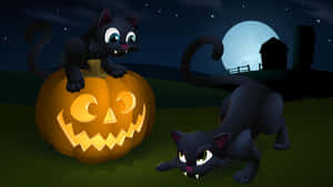 Get Your Purr-fect Halloween Costume With This Fabulous Feline Wallpaper