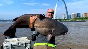 Giant Catfish Caught Near Arch Wallpaper