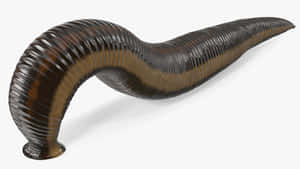 Giant Leech3 D Rendering Wallpaper