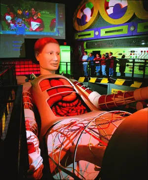 Giant Model Human Body Exhibit Wallpaper