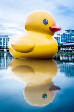 Giant Rubber Duck Urban Waterfront Wallpaper