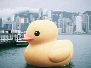 Giant Rubber Duckin Harbor Wallpaper