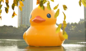 Giant Rubber Duckin Lake Wallpaper