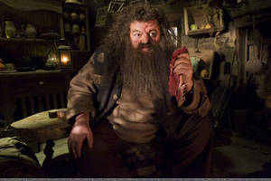 Giant Rubeus Hagrid Wallpaper