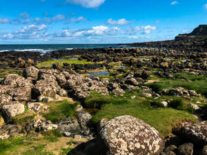 Giant's Causeway Basalt Columns Northern Ireland Wallpaper