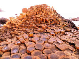 Giant's Causeway Orange Rocks Wallpaper