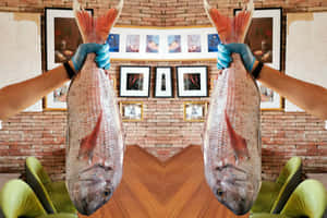 Giant Snapper Held Up Wallpaper