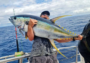 Giant Yellowfin Tuna Catch Wallpaper