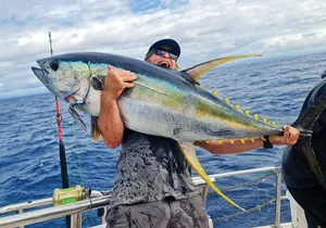 Giant Yellowfin Tuna Catch Wallpaper