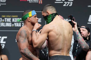 Gilbert Burns Staredown With Khamzat Chimaev Wallpaper