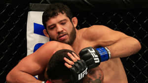 Gilbert Melendez Head Punch Ufc Fight Wallpaper