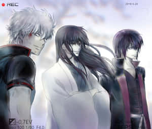 Gintama Trio Captured Moment Wallpaper