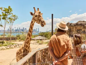 Giraffeand Visitorsat Taronga Zoowith Sydney Skyline Wallpaper