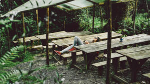 Girl Lying On Bench Wallpaper