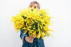 Girl With Mimosa Flowers Wallpaper