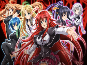 Girls Photo Montage High School Dxd Wallpaper