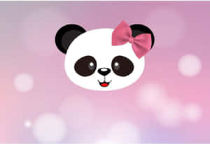 Girly Cute Panda Birthday Backdrop Wallpaper