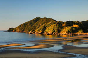 Gisborne Coastal Beauty New Zealand Wallpaper