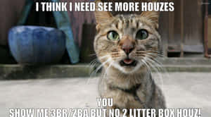 Give It A Smile And A Hug - It Could Be Your New Furry Friend!