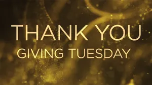 Giving Tuesday Thank You Message Wallpaper