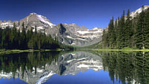 Glacier National Park Lake View Wallpaper