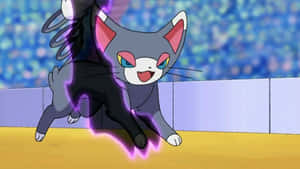 Glameow Launching An Attack In Full High Definition Wallpaper