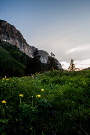 Glarus Mountain Meadow Dusk Wallpaper