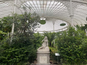 Glasgow Botanic Gardens Victorian Glasshouse.jpg Wallpaper