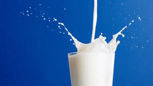 Glass Of Milk Splashing Over Blue Background Wallpaper