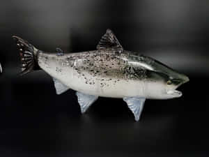 Glass Steelhead Sculpture Artwork Wallpaper