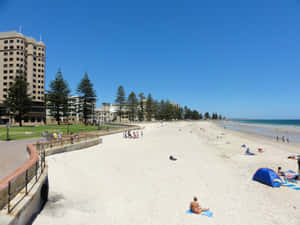 Glenelg Beach Sunny Day Wallpaper