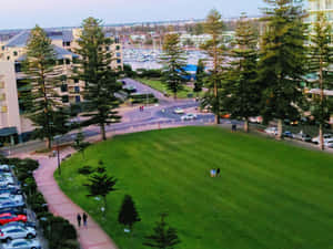 Glenelg Marina View Aerial Perspective Wallpaper