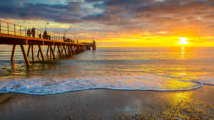 Glenelg Pier Sunset Silhouette Wallpaper