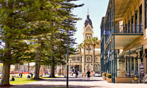 Glenelg Town Halland Promenade Wallpaper