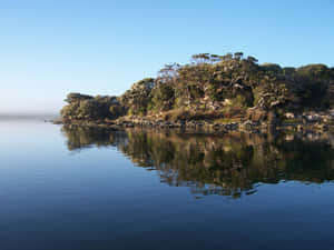 Glenelg Tranquil Waterscape Wallpaper