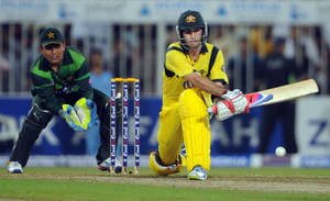 Glenn Maxwell Reverse Cricket Sweep Wallpaper