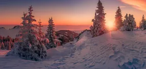 Glistening Virtual World Wallpaper